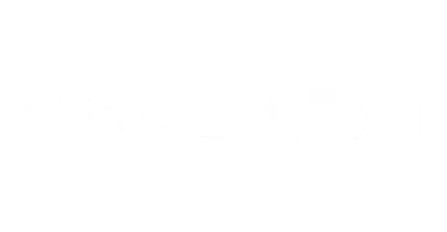 partners who work with w88cric